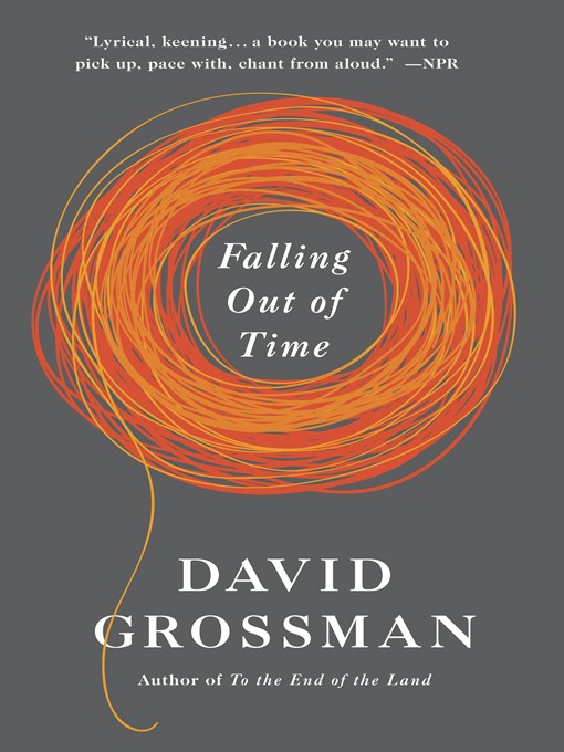 Title details for Falling Out of Time by David Grossman - Available